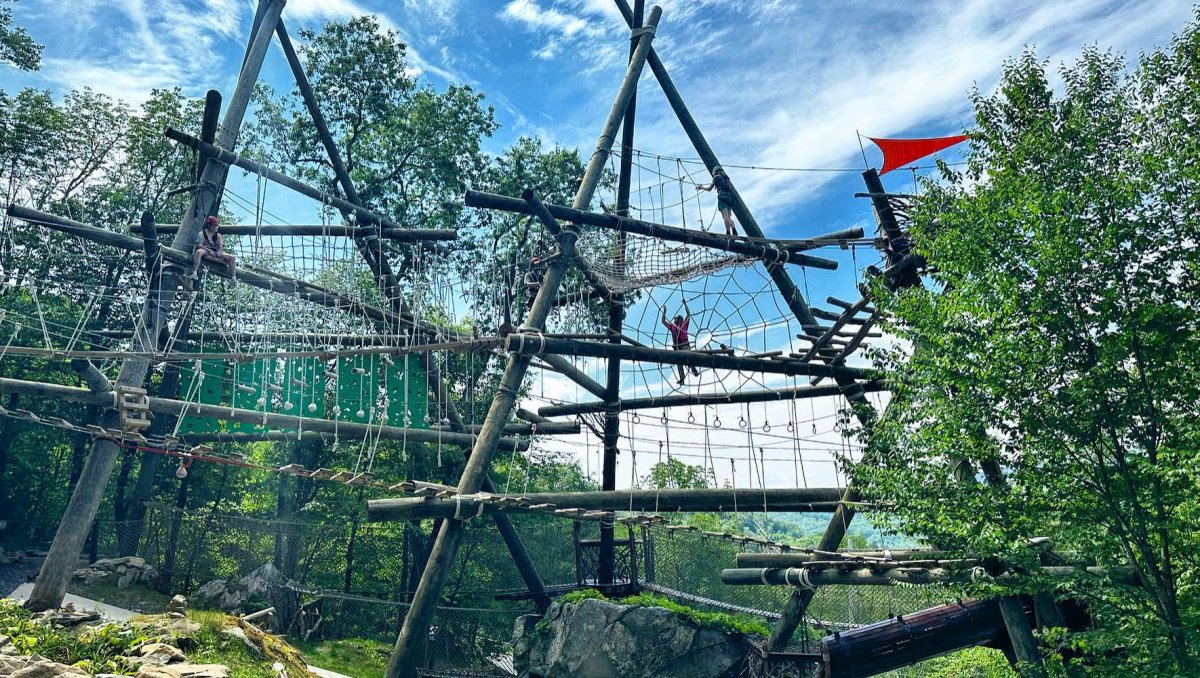Person climbing adventure course in trees