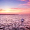 Aerial of fishing charter boat under beautiful pink and orange sky.