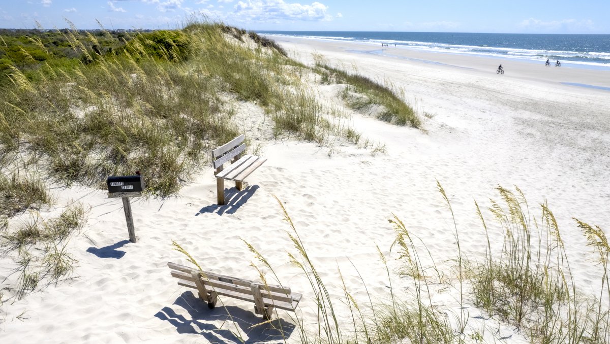 Kindred Spirit Mailbox nestled between dunes with beach and ocean to right in background.
