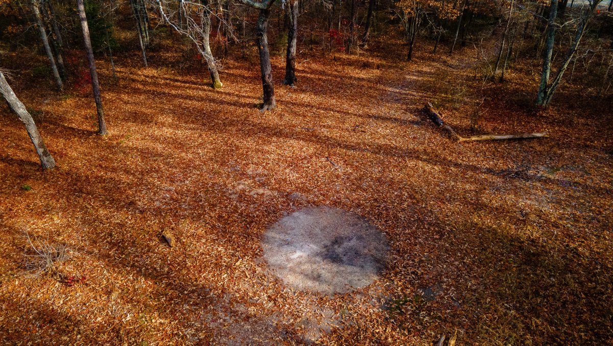 Overhead shot of empty area in woods with haunted circle of land in middle