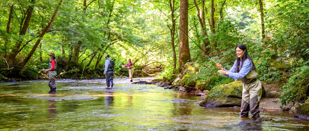 People fly-fishing in mountain river surrounded by green trees.