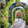 Woman walking through outdoor tunnel of plants and shrubs at Daniel Stowe Botanical Garden.
