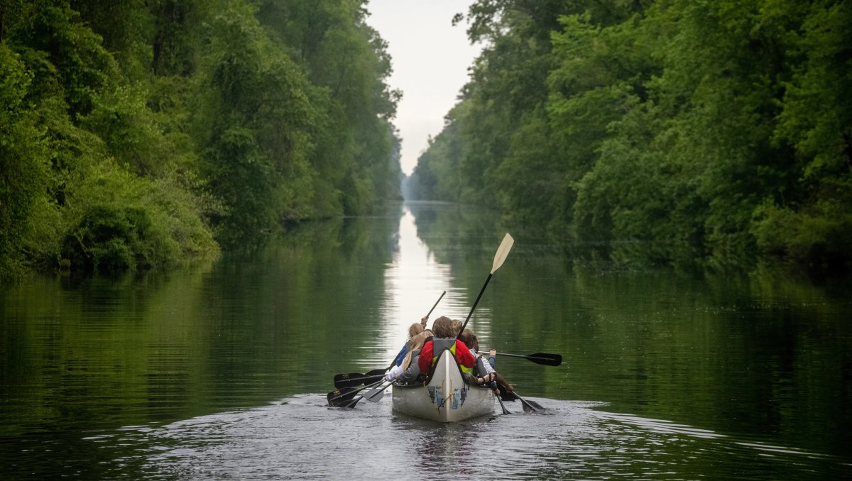 Back of people in canoe paddling down canal, with green trees and foliage on either side during cloudy daytime
