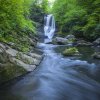 Waterfall cascading down rocks into ravine in woods, surrounded by trees.