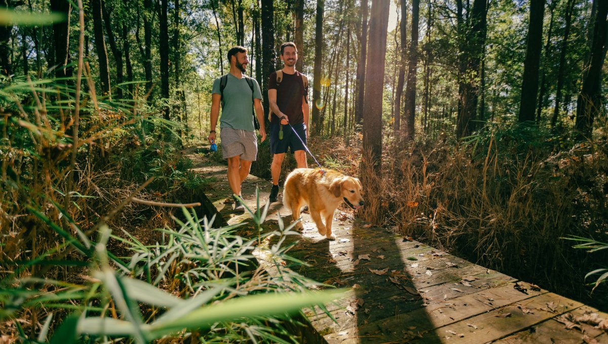 Wide shot of LGBTQ+ couple walking dog on wooden trail in Howell Woods.