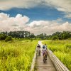 Three friends riding bikes on wood sidewalk through marshes in Jacksonville.