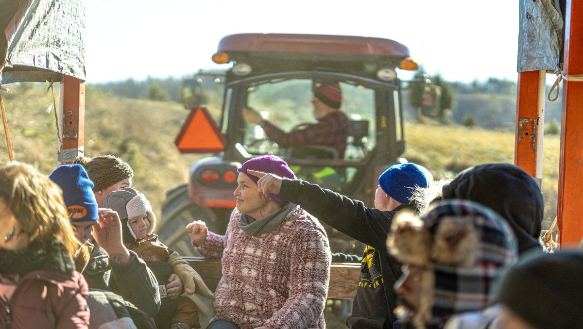 Group of people on hayride at U-pick Christmas tree farm during daytime.