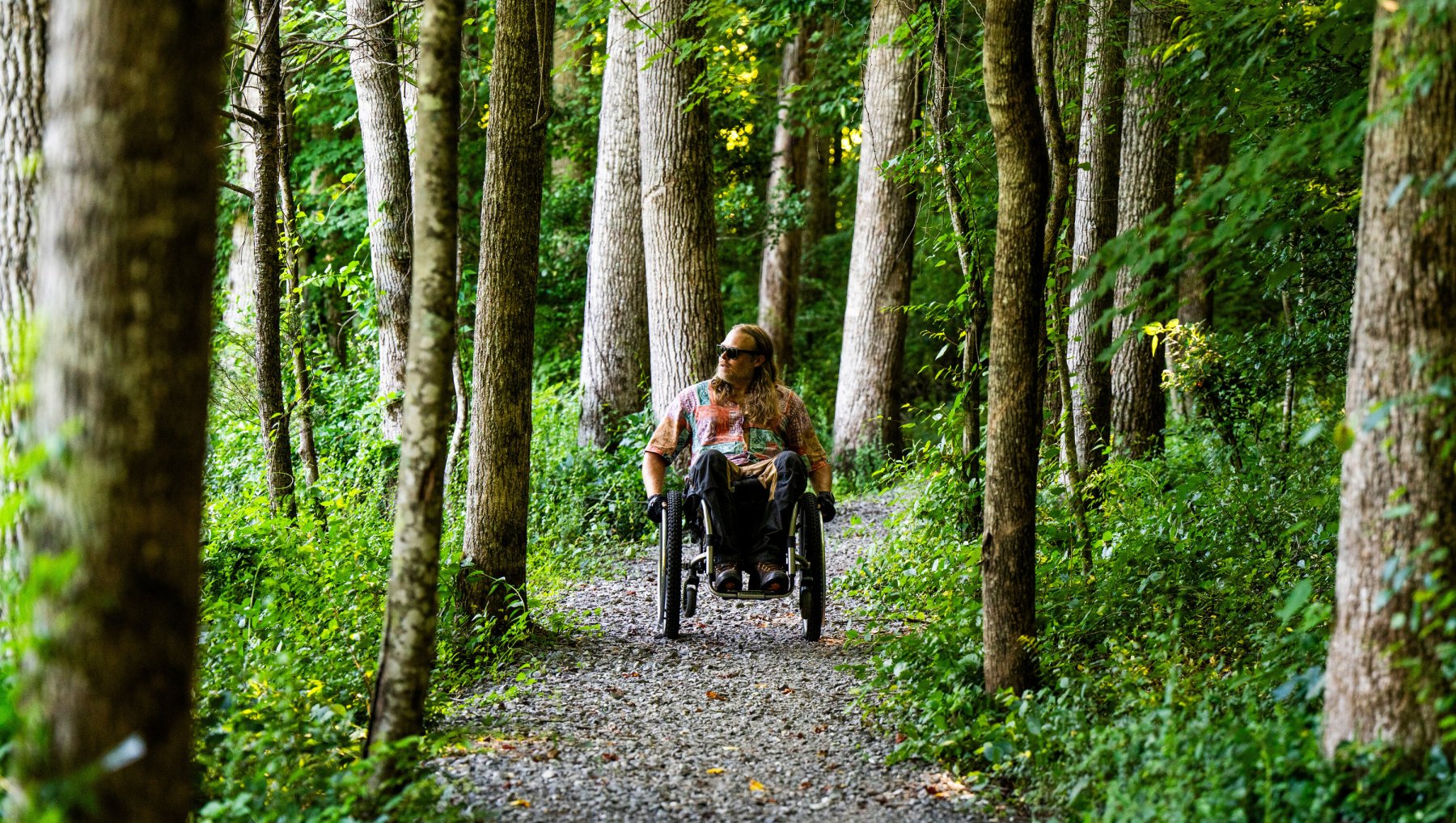 Person in wheelchair going through walking trail in the woods, surrounded by trees.