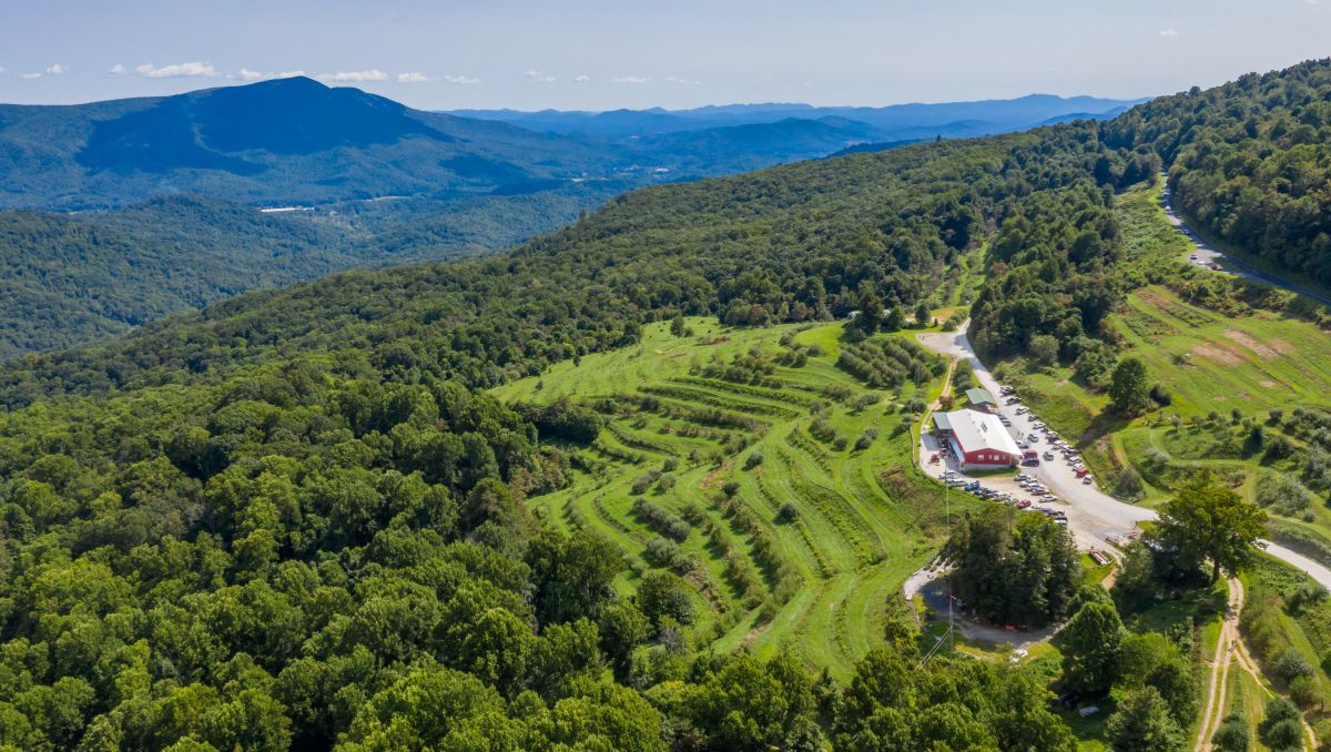 Aerial of Orchard at Altapass with green trees surrounding grounds with mountains in background