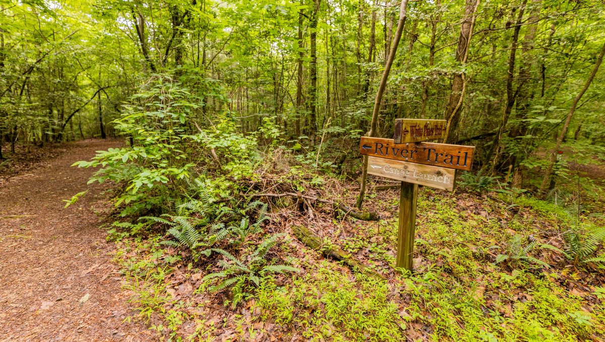 Trail markers on side of wooded trail in nature preserve
