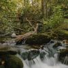 Couple on wooden bridge overlooking waterfall in forest