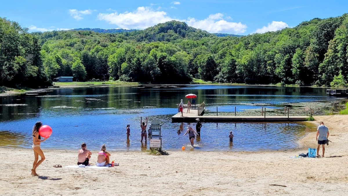 Families enjoying beach and lake with green trees in distance on shoreline