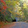 The Road to Nowhere tunnel in fall surrounded by foliage.