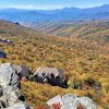 Aerial view of vacation rentals surrounded by bright fall foliage and mountains in background