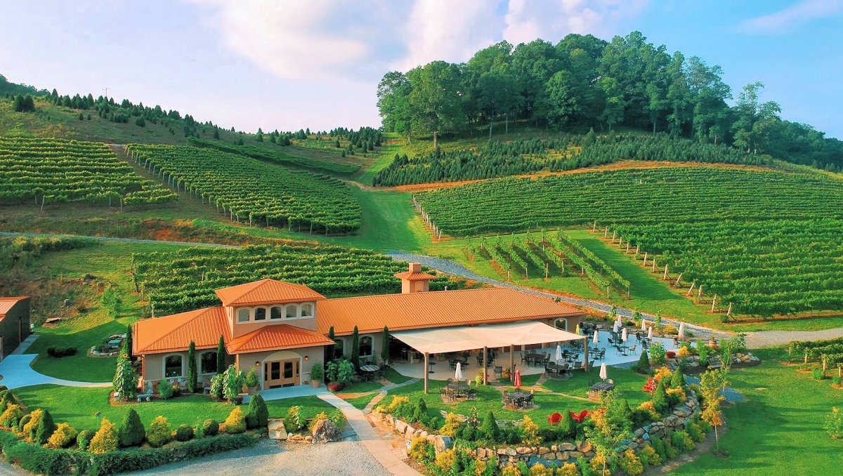 Aerial of winery, seating aerial and vineyards during summertime